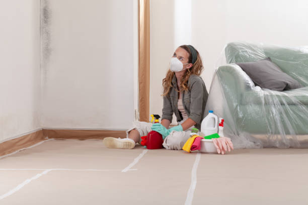 Reliable Mold Inspection contractor in Patton, PA by WQB Mold Removal